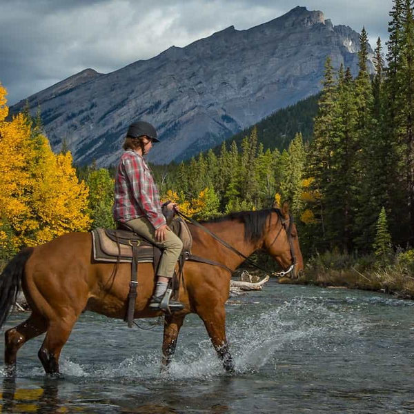 Horseback Riding