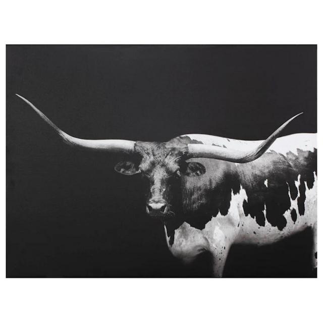 Long Horn Canvas Wall Art