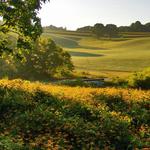 Natural Lands' Stroud Preserve