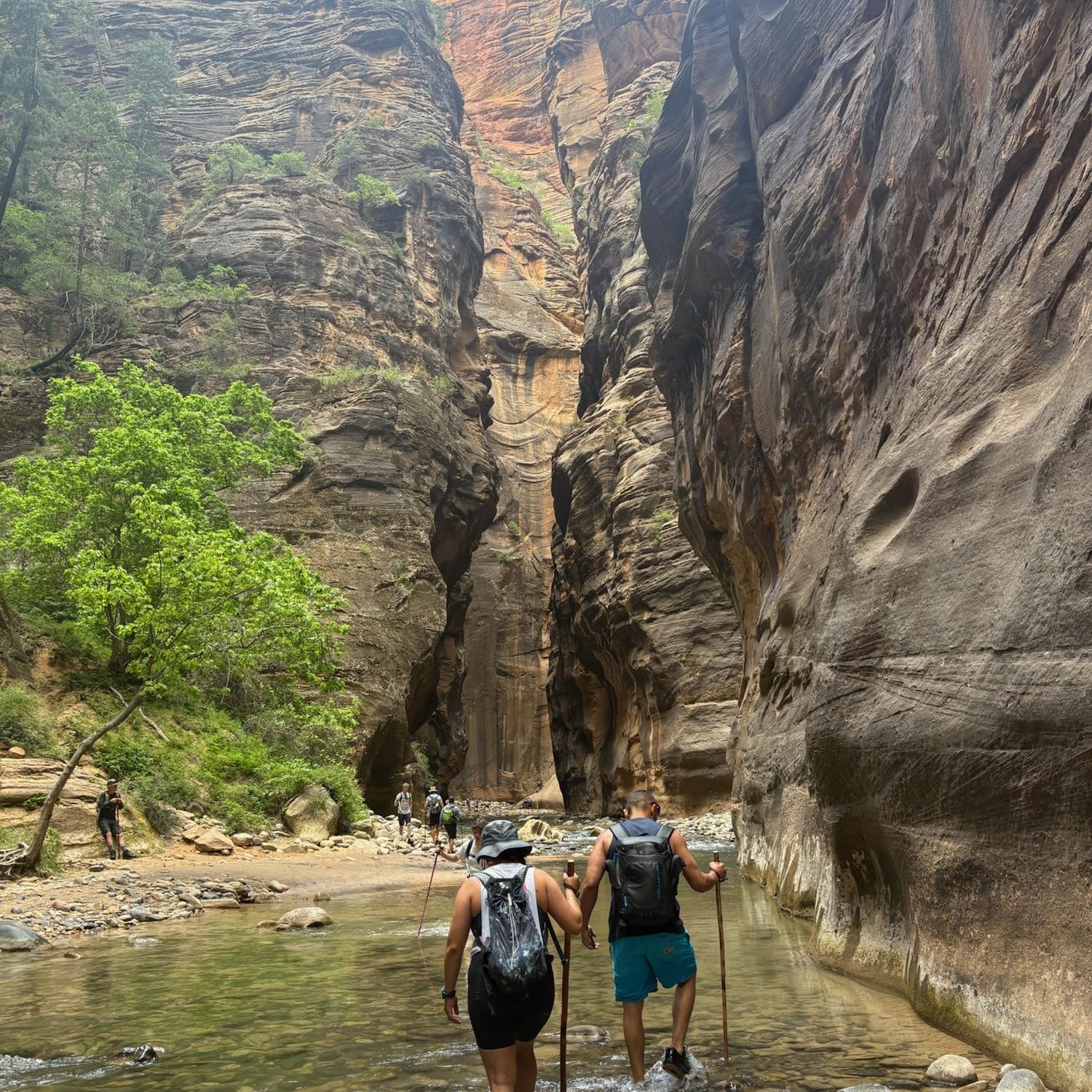Zion, NP 2025.