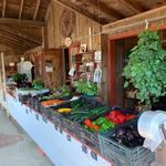 Local Farmstands