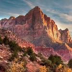 The Watchman