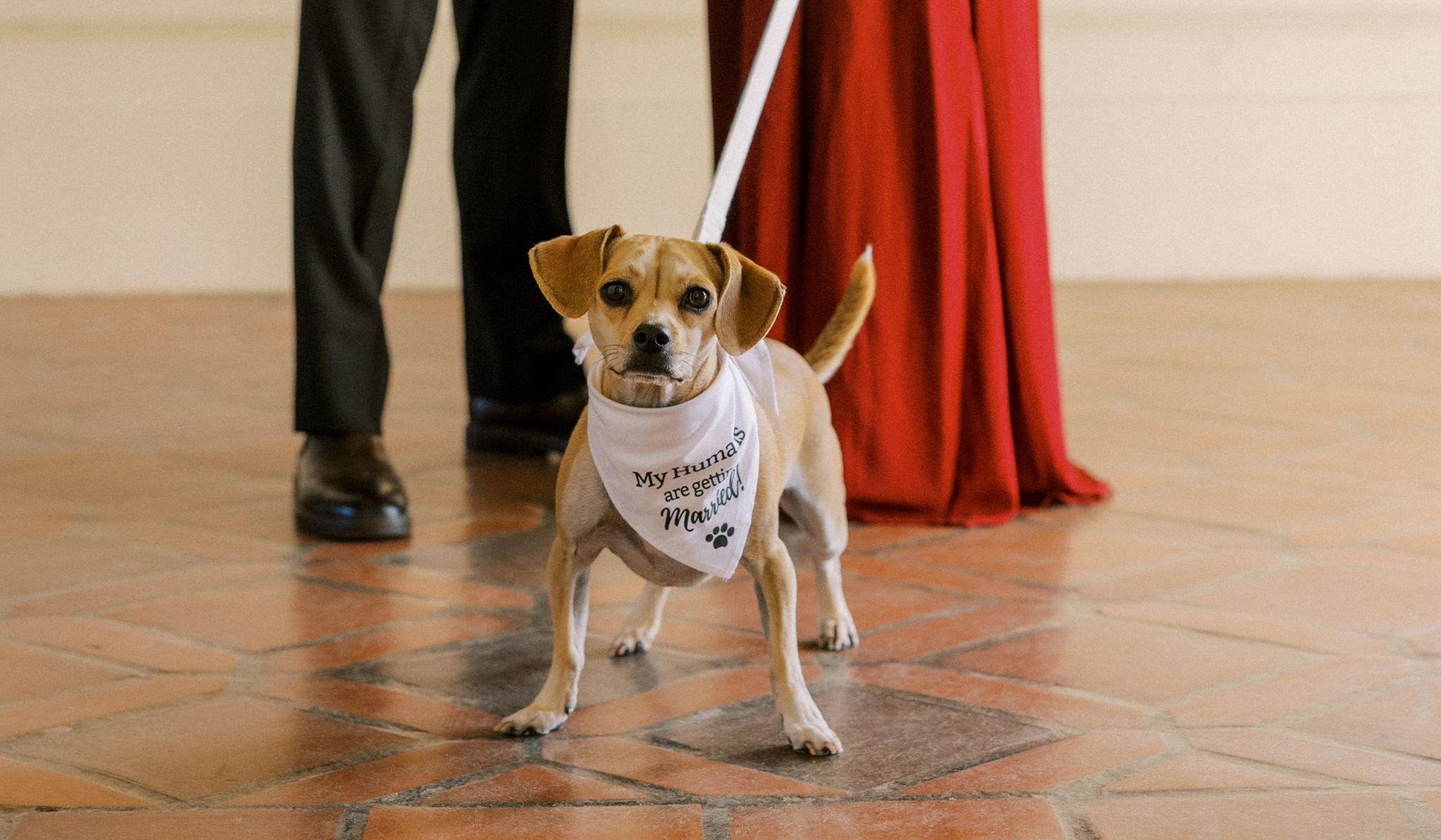 Hero Slideshow Image 1