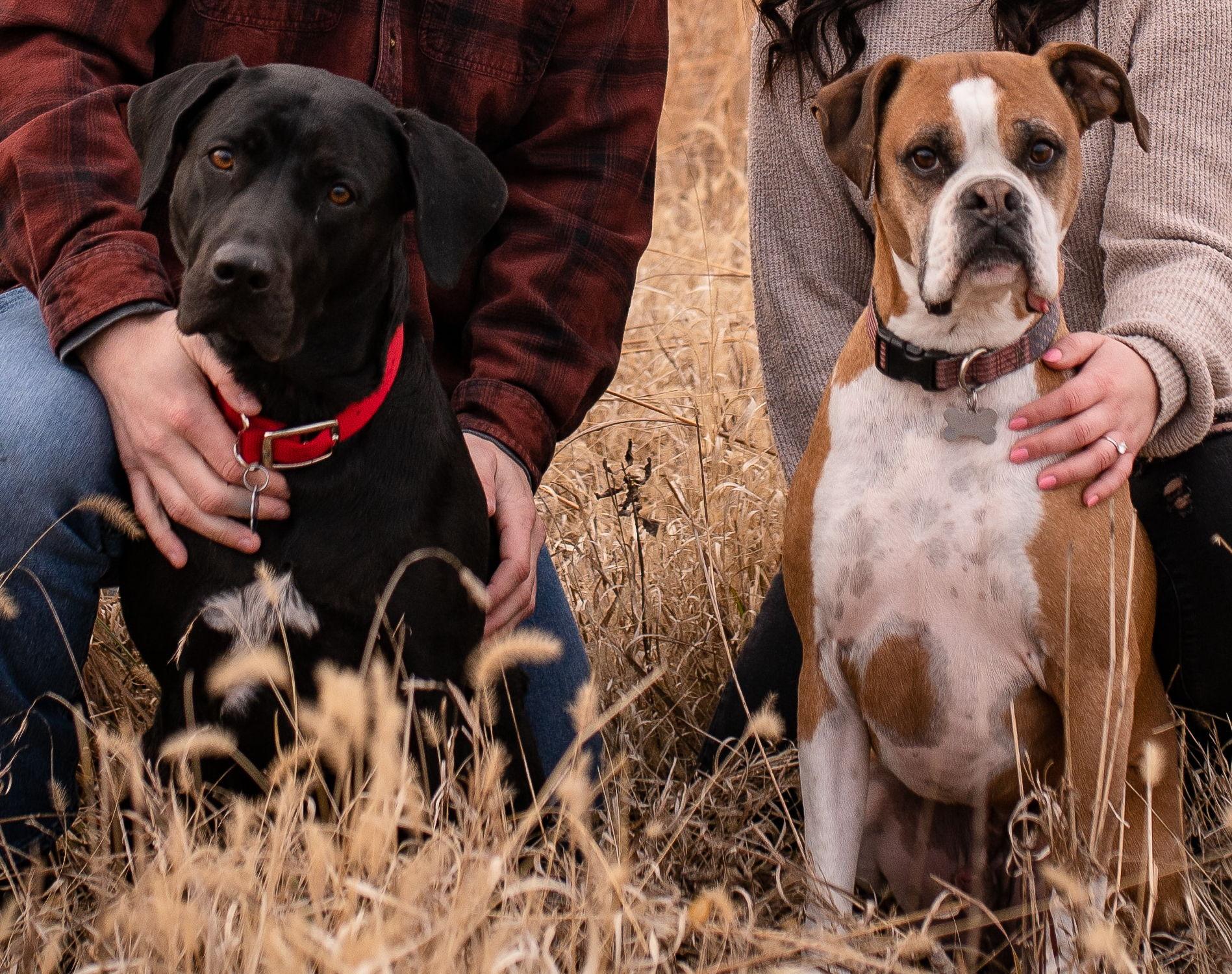 The Wedding Website of Becky Anderson and Dakota Muzney