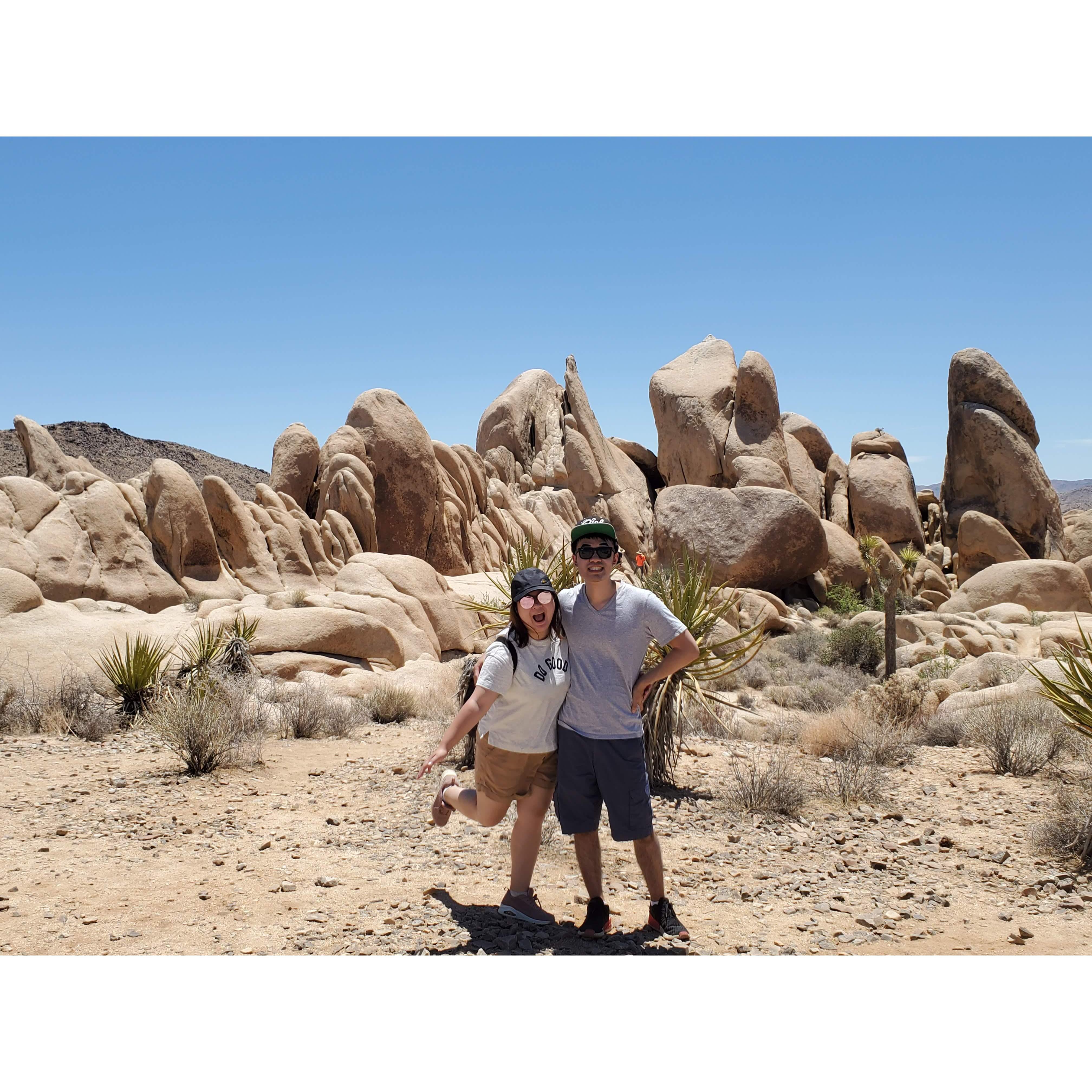 Joshua Tree
