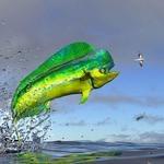 Other Deep Sea Fishing Recommendations