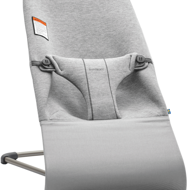 Bouncer Bliss - used from craigllist