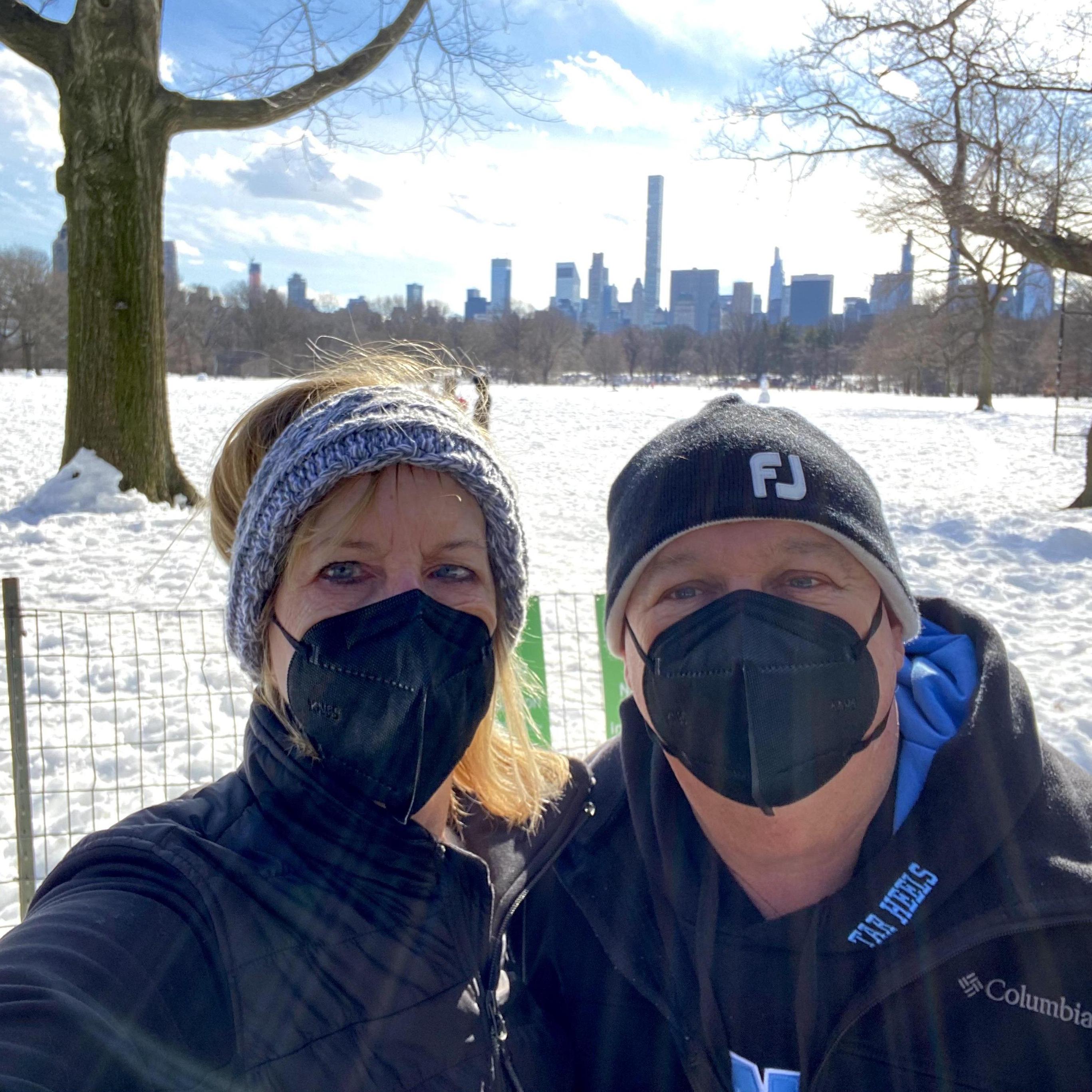 Central Park and NY skyline February 2021