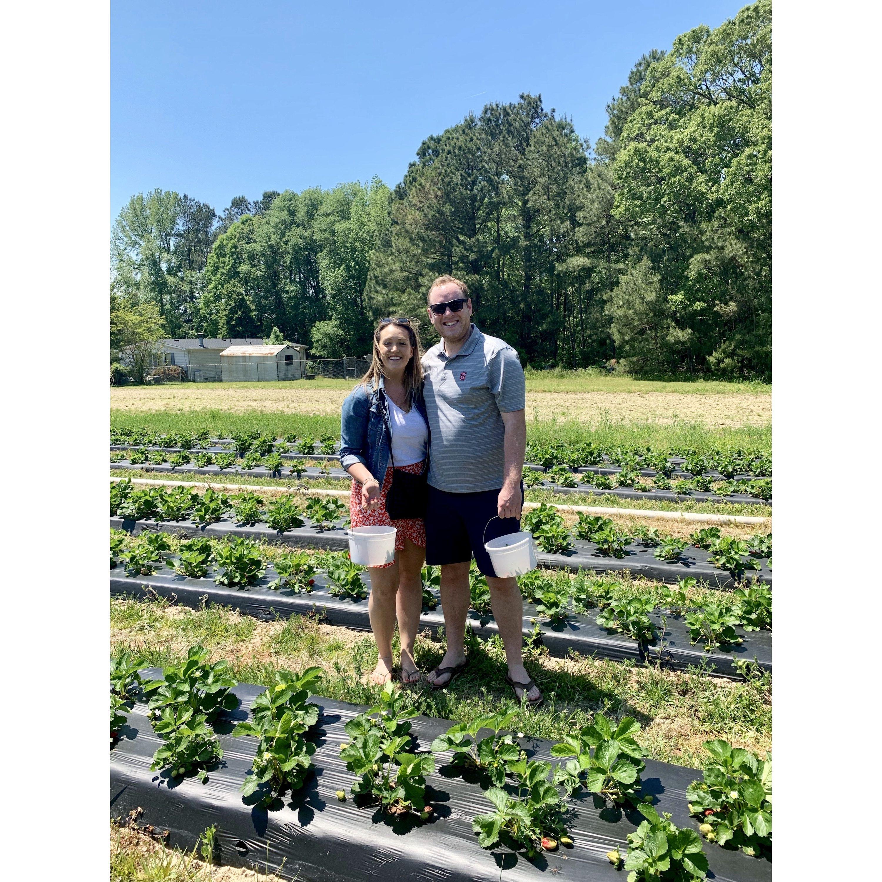 Mel's first visit to Raleigh and strawberry picking!
