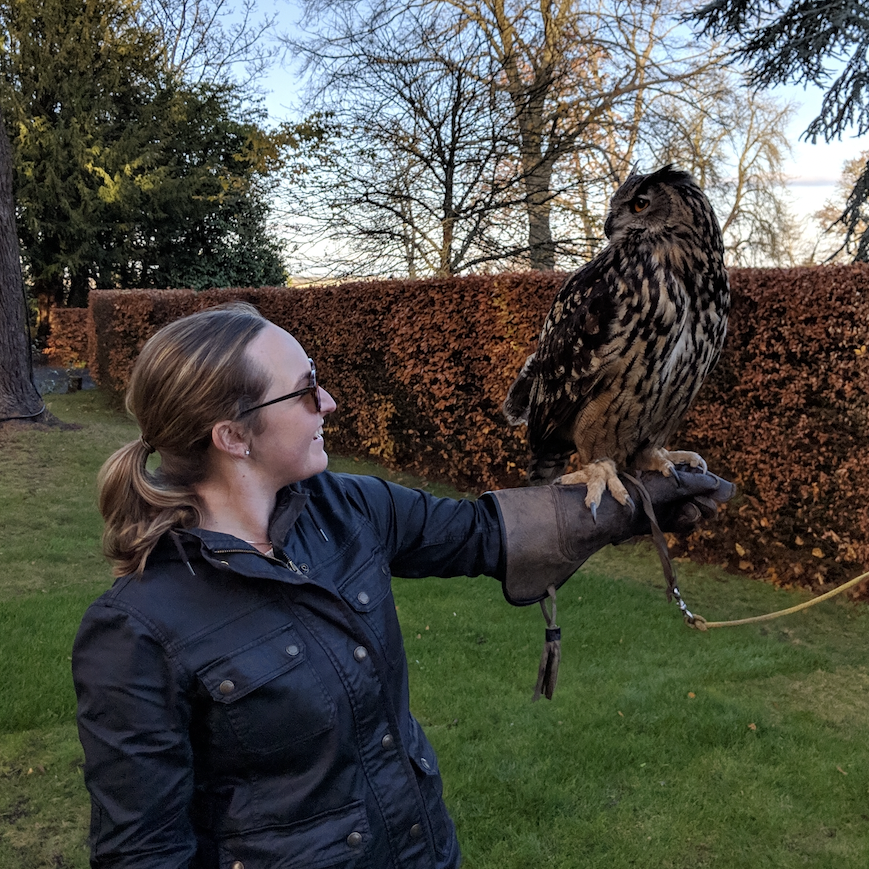 Falconry