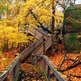 Rock Cut State Park