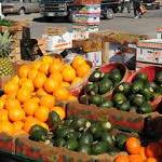 Rochester Public Market