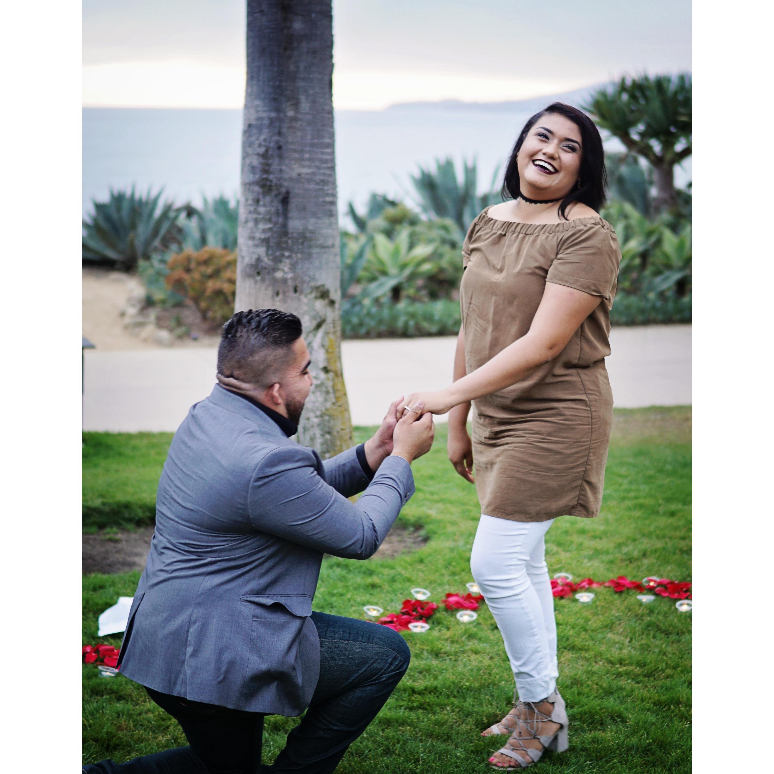 The proposal.