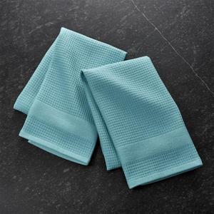 Waffle-Terry Aqua Dish Towels, Set of 2