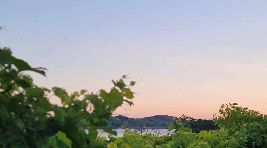 The Wedding Website of Sierra Parce and Shane Ness