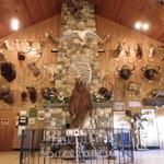 Space Farms: Zoo & Museum