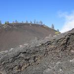 Lava Lands and Lava Butte