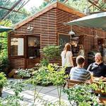 Kentucky Native Café