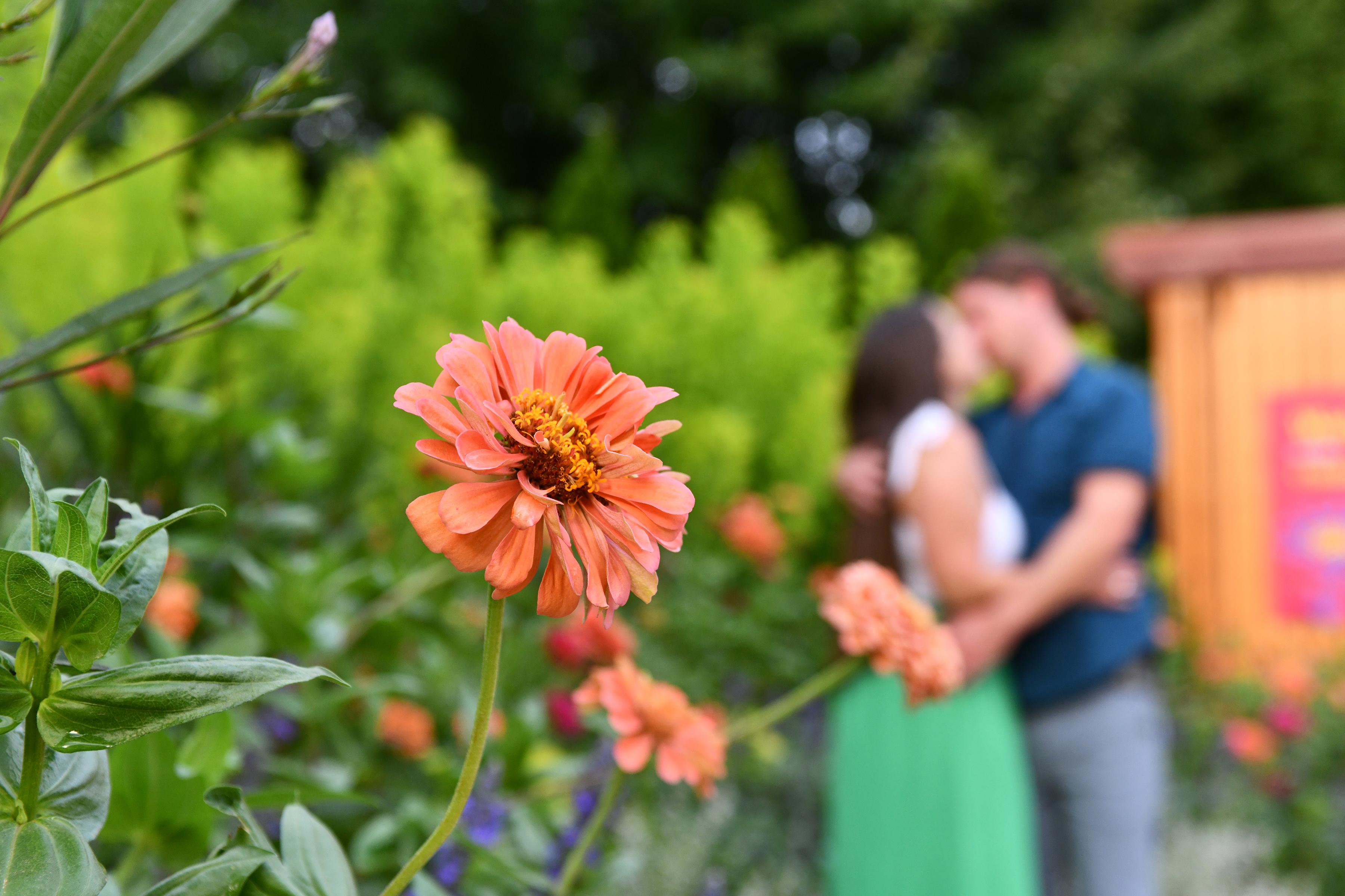 The Wedding Website of Amanda Eilers and David Flynn