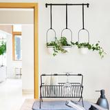 Triflora Hanging Planter