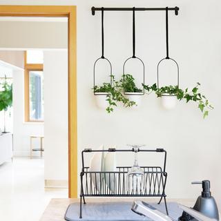 Triflora Hanging Planter