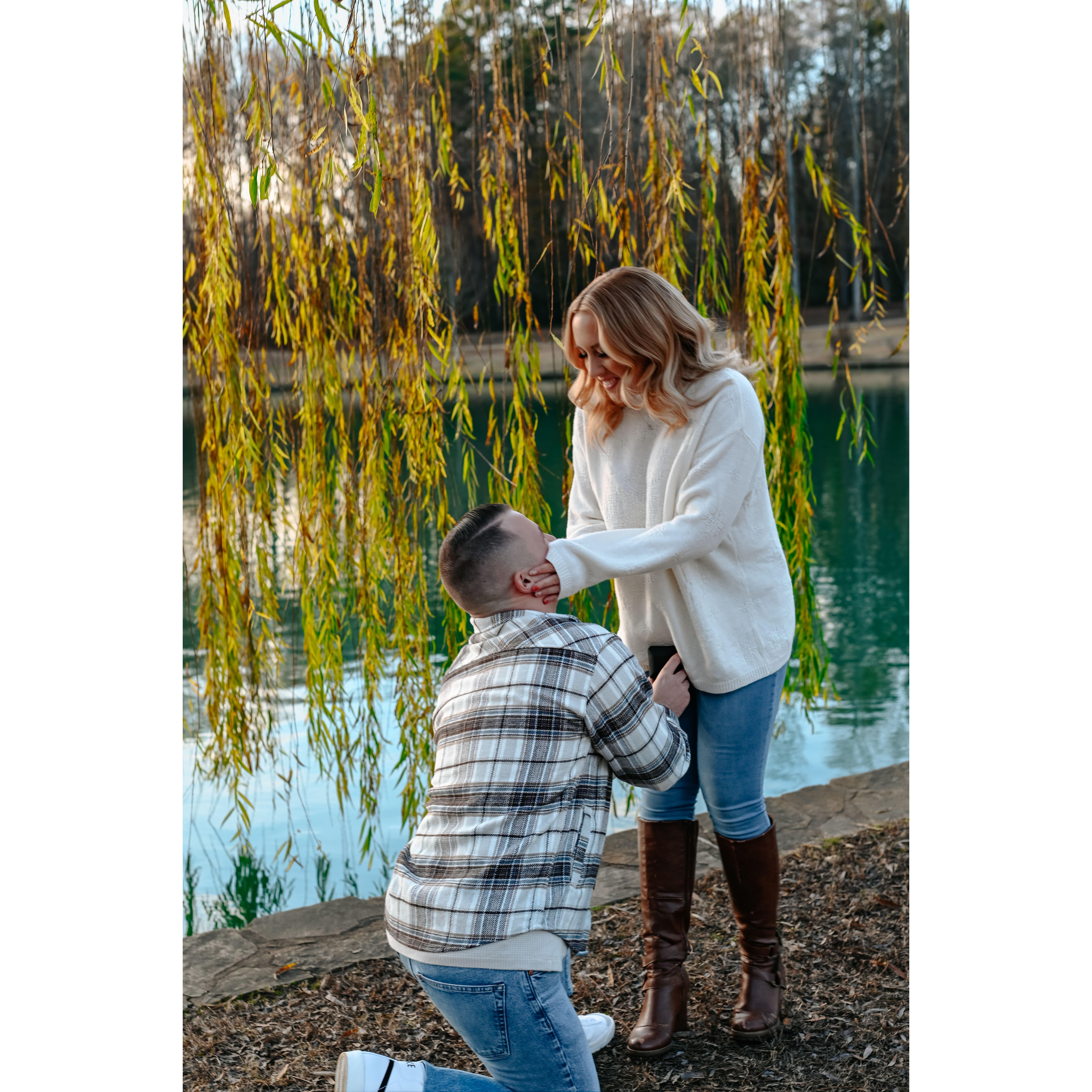 When Hailey Said "YES"!