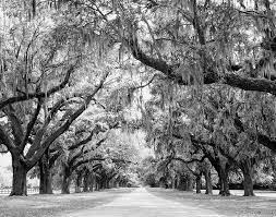 The Wedding Website of Allie Vaughn and Ryan Brubaker