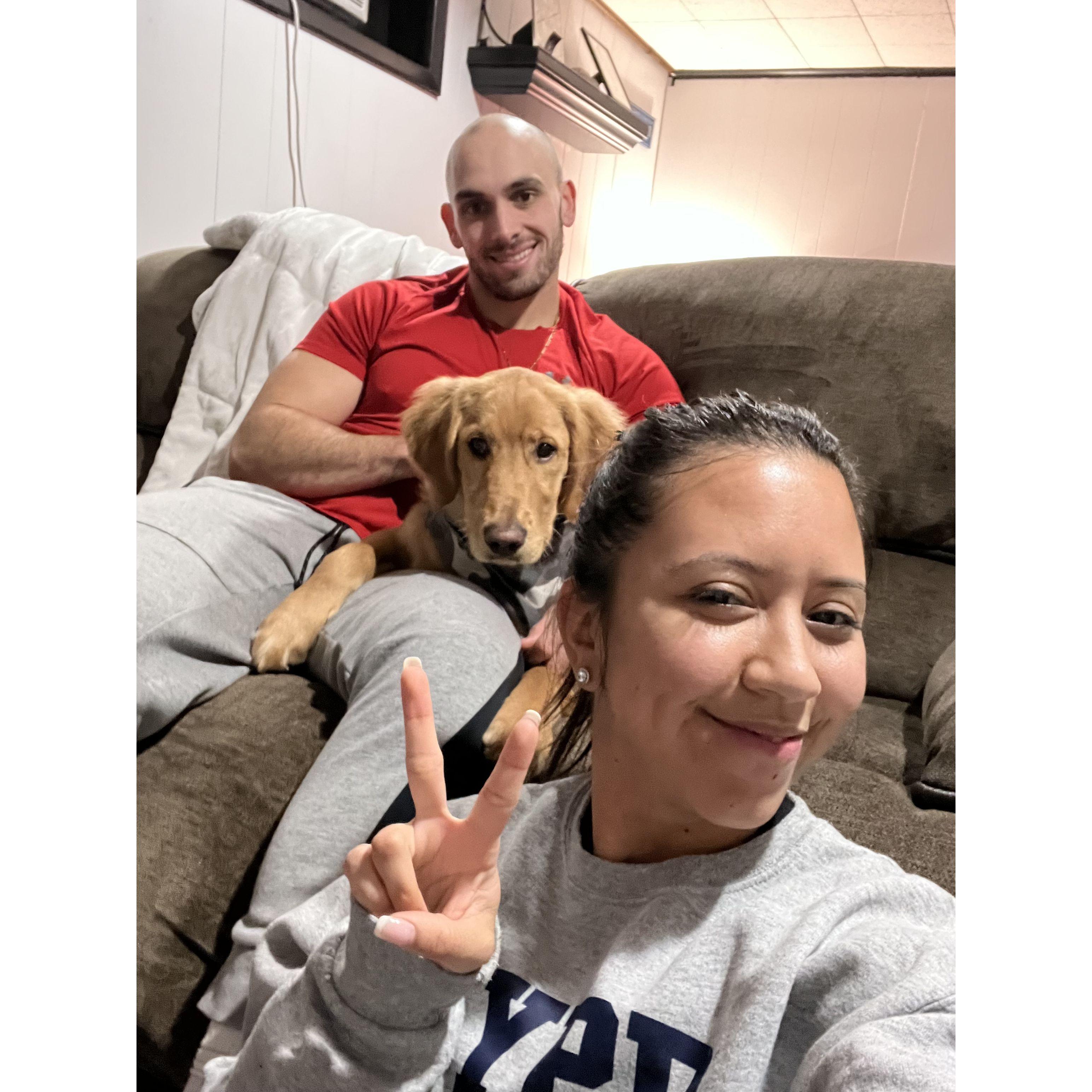 Becoming doggy parents :)