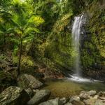 El Yunque Rainforest
