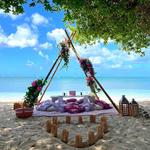 PICNIC ARUBA