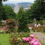 International Rose Test Garden