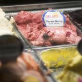Sirena Gelato
