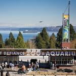 Point Defiance Zoo & Aquarium