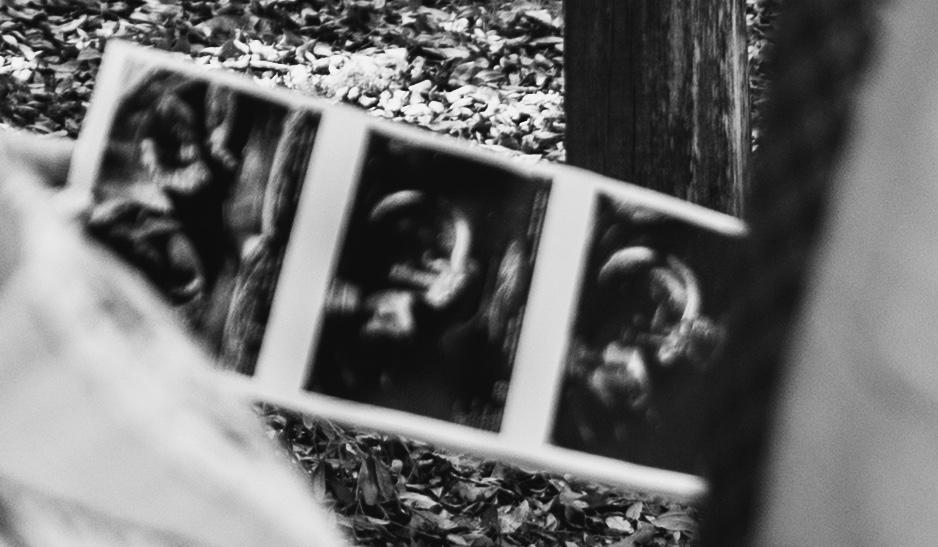 The Wedding Website of Stephanie Harris and McCoy Surgeon