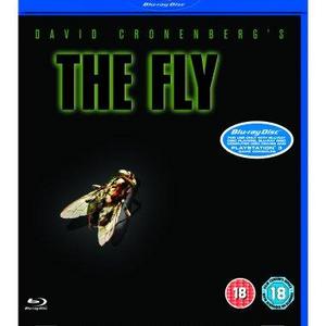 Fly