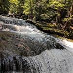 Roaring Kill Trail