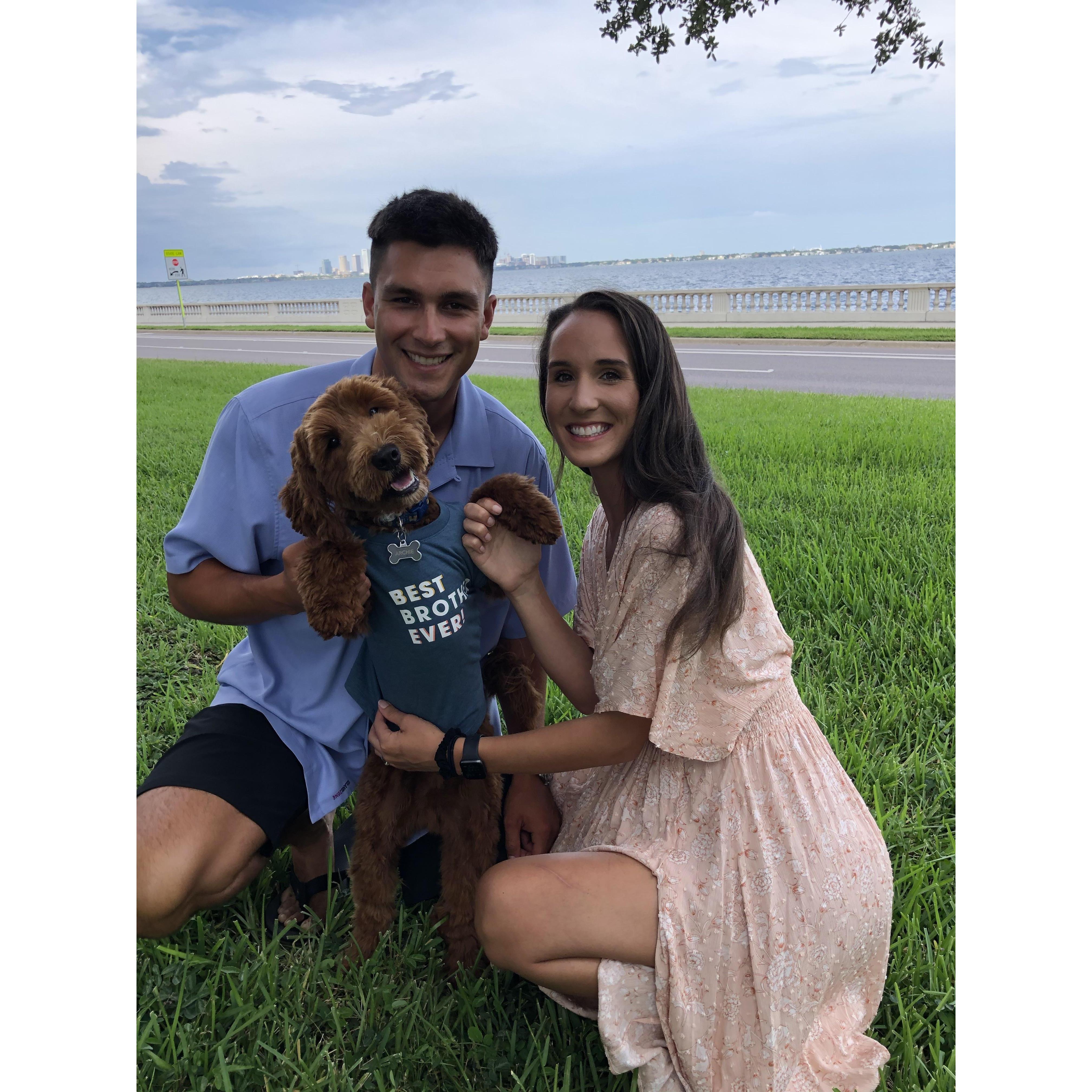 tampa 2020