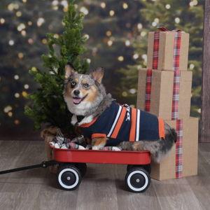Year's Supply Of Pet Treats