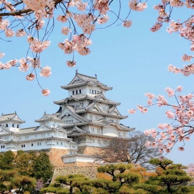 Honeymoon Fund - Japan