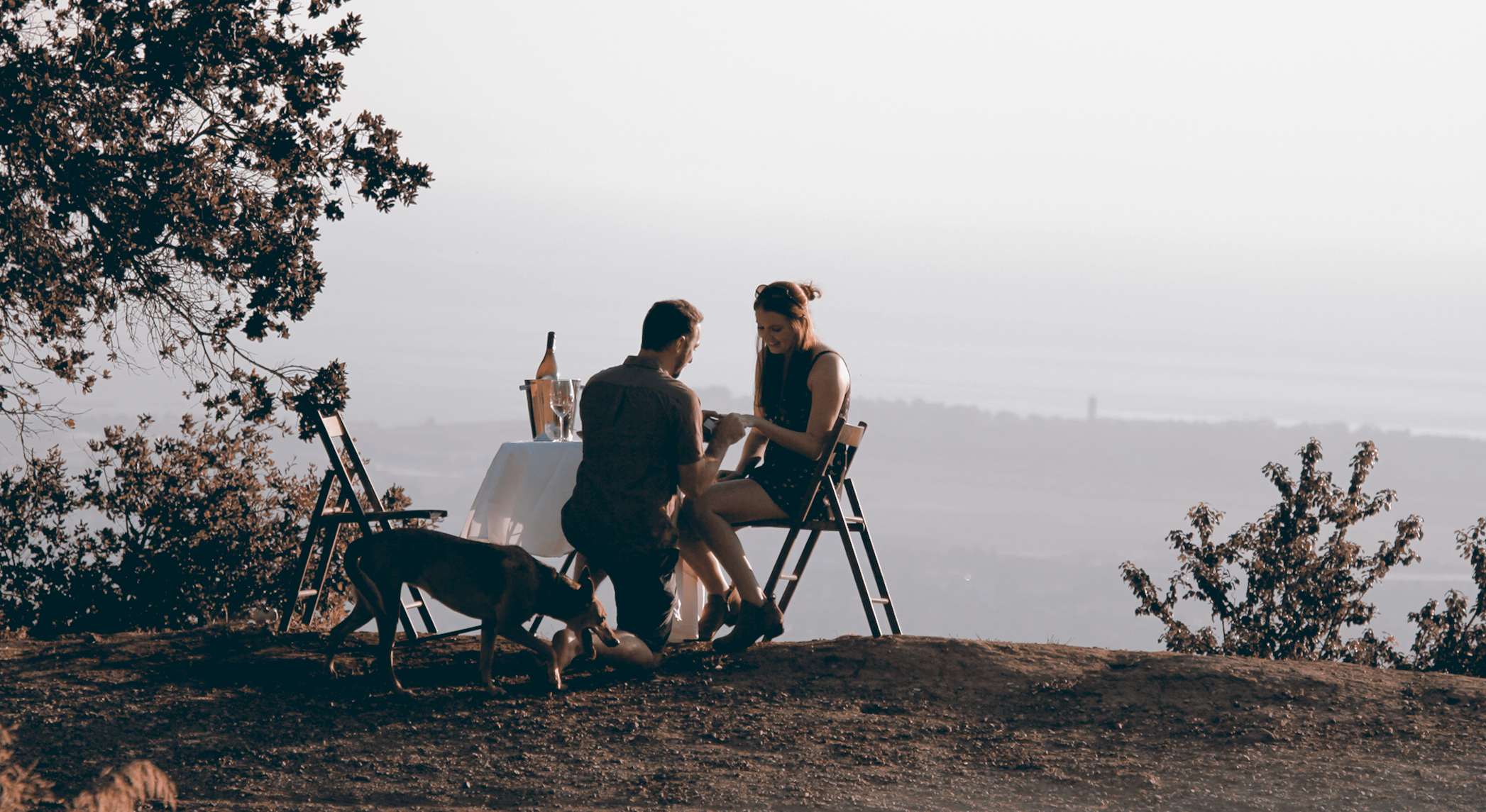 Kelsey McGrath and DC Smith's Wedding Website, image size:2094x1145