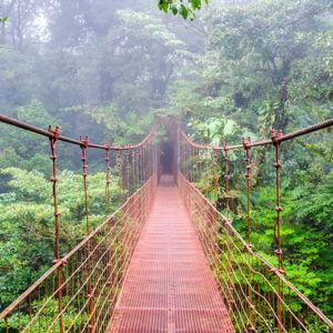 Costa Rica Honeymoon