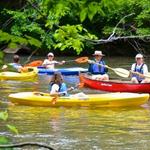 Dan River Company