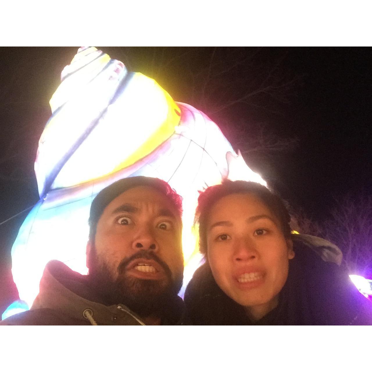 Winter Lantern Festival