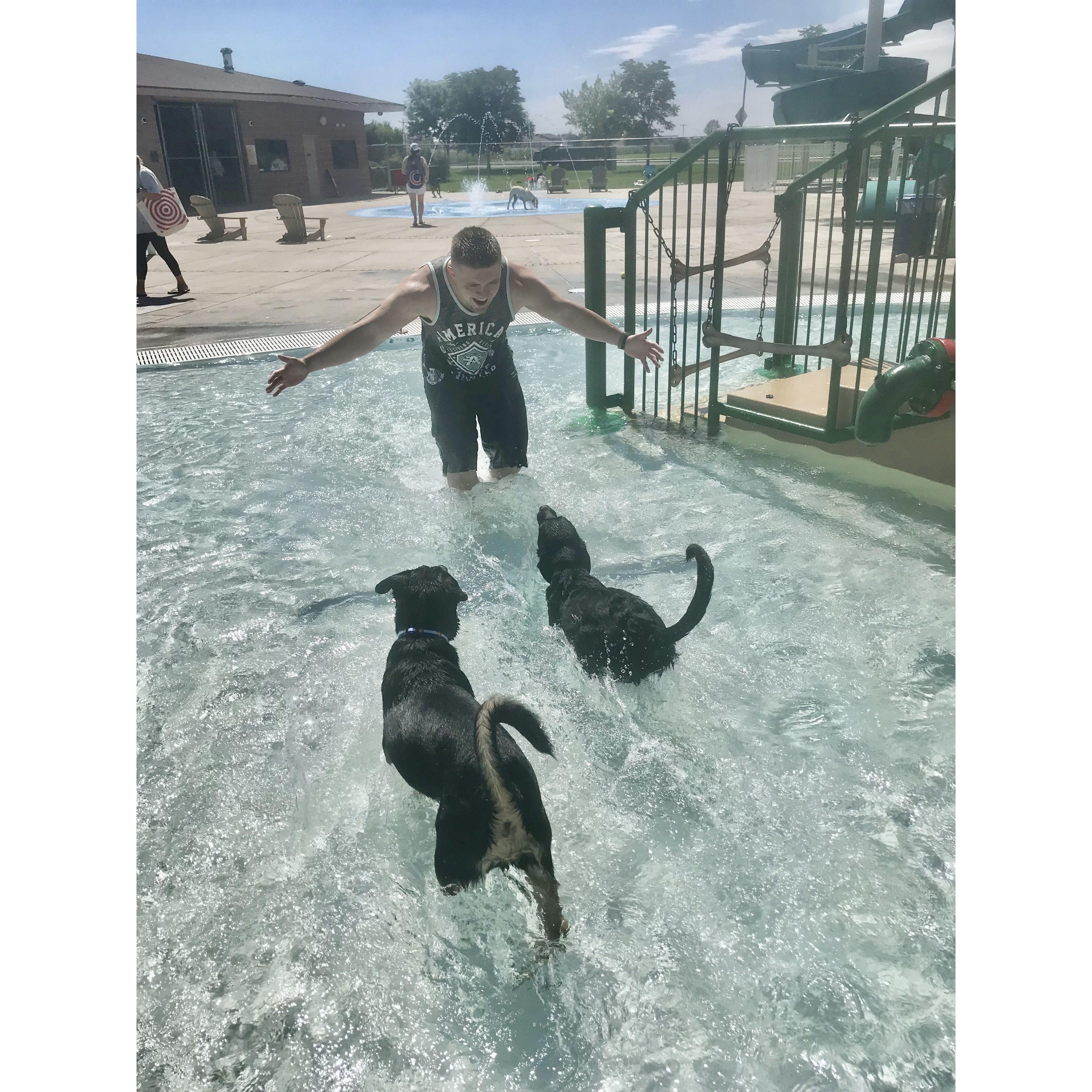 Doggie Swim Day at Discovery Bay Pool