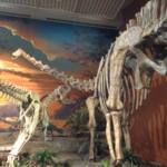 New Mexico Museum of Natural History and Science