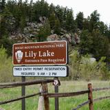 Lily Lake