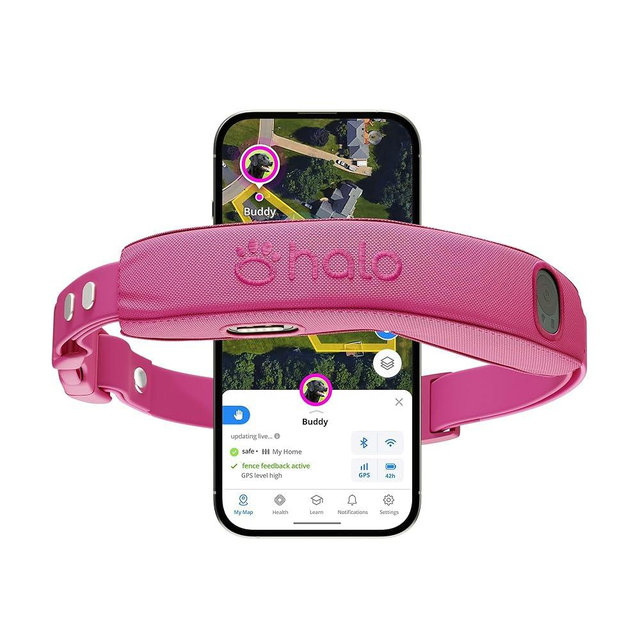 Halo Collar 5, New Wireless Dog Fence & GPS Dog Collar, Subscription Required, Waterproof, Orchid, One Size