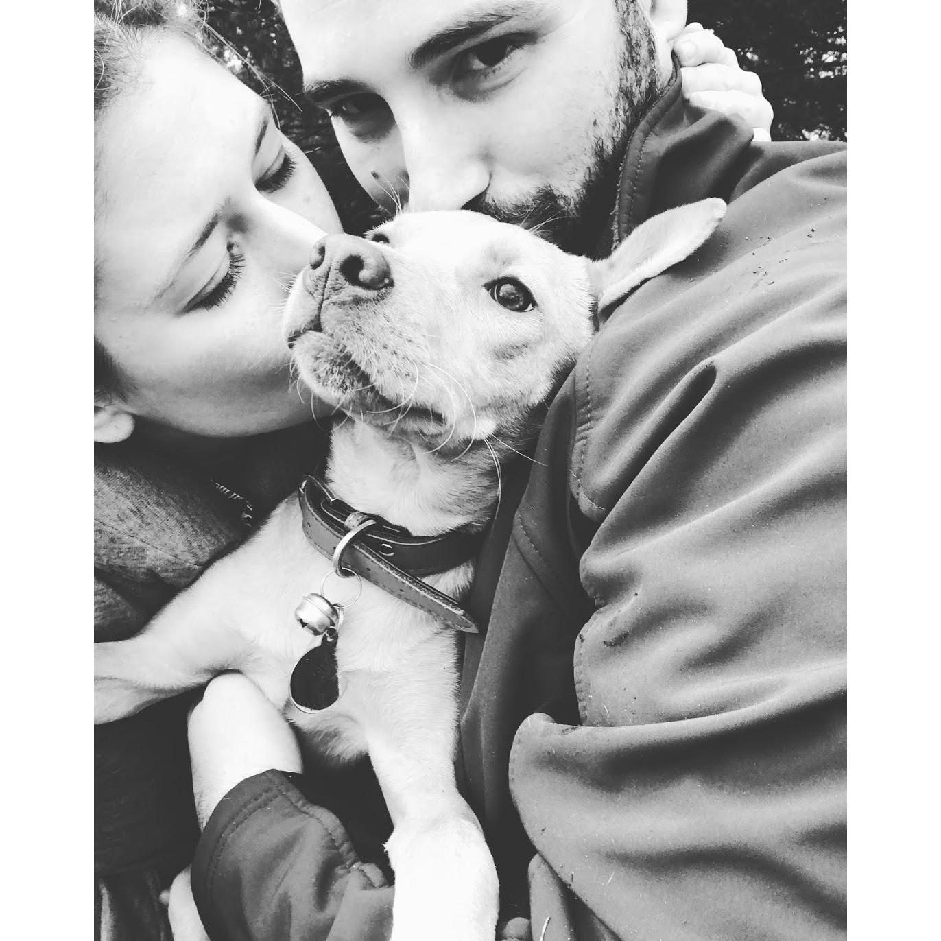 Taken just 5 minutes after finding Piper, who went missing for 9 hours after slipping her harness.
Greenwich, CT - November 2017