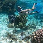 Snorkeling / Bucear