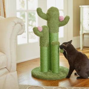 Frisco Cactus Cat Scratching Post